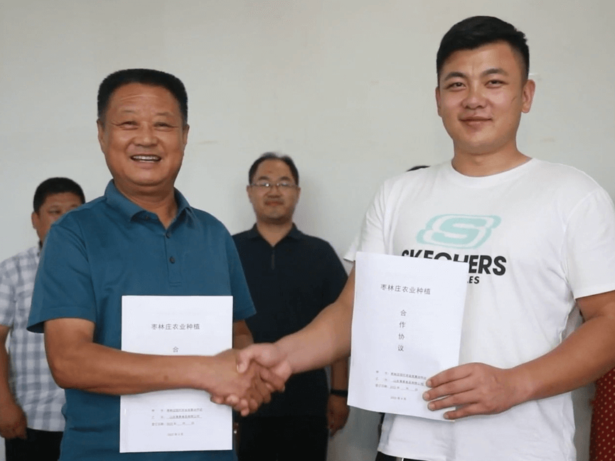 山东省临沂市沂南县界湖街道：乡村振兴强突破  头雁领航“枣”争先